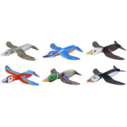 GLIDERS BIRDS 4