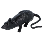 STRETCH-RAT-6-black